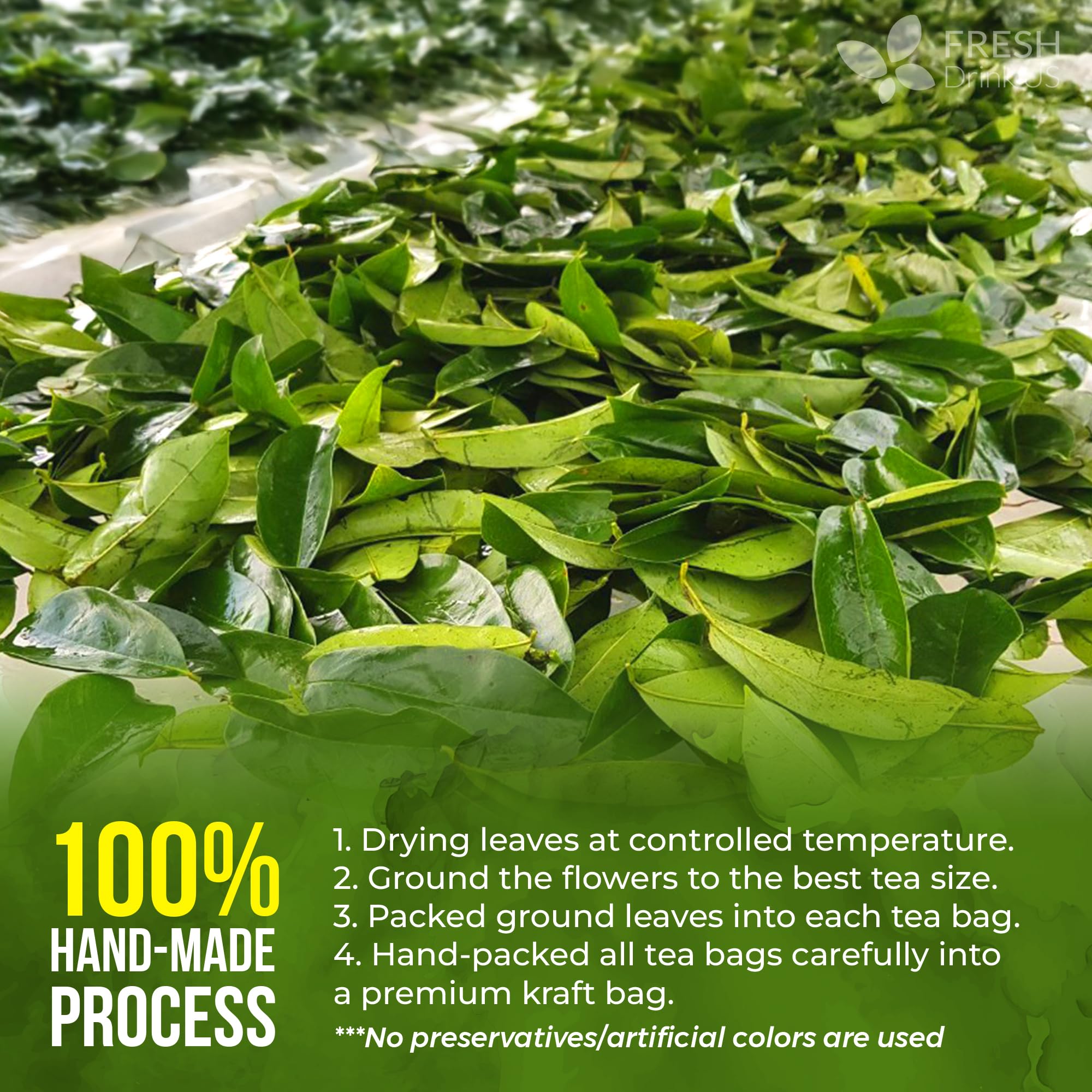 FreshDrinkUS array of 105 tea bags laid out for clear quantity and value