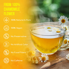 FRESHDRINKUS biodegradable tea bag material displayed to emphasize eco-friendly design