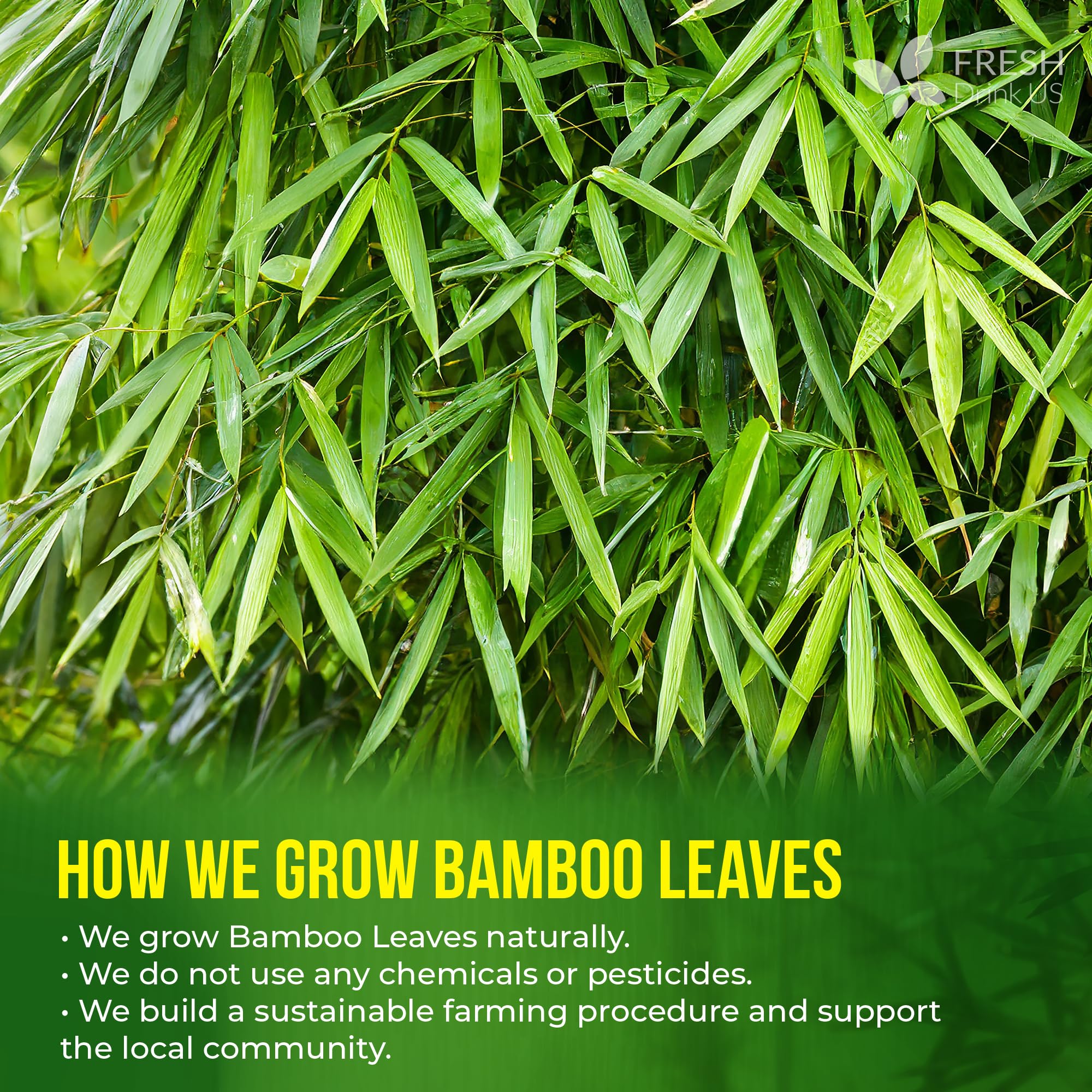 Hot cup of FRESHDRINKUS bamboo leaf tea steaming, demonstrating soothing caffeine-free benefit