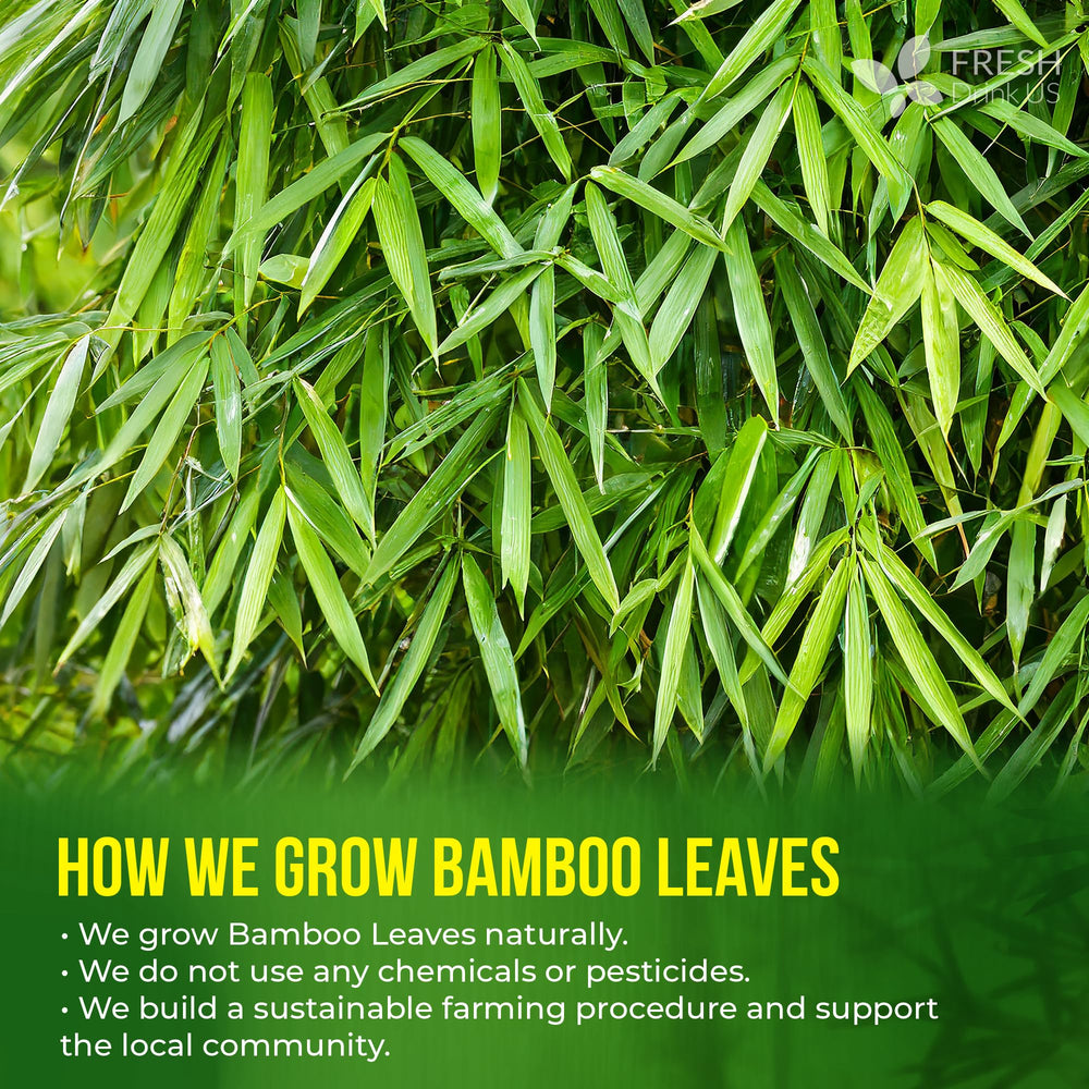 Hot cup of FRESHDRINKUS bamboo leaf tea steaming, demonstrating soothing caffeine-free benefit