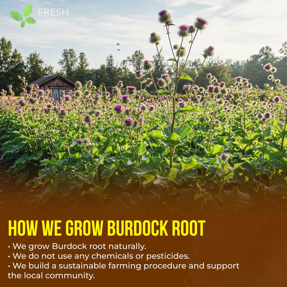 Steaming brewed cup of FRESHDRINKUS burdock tea illustrating warm, earthy flavor