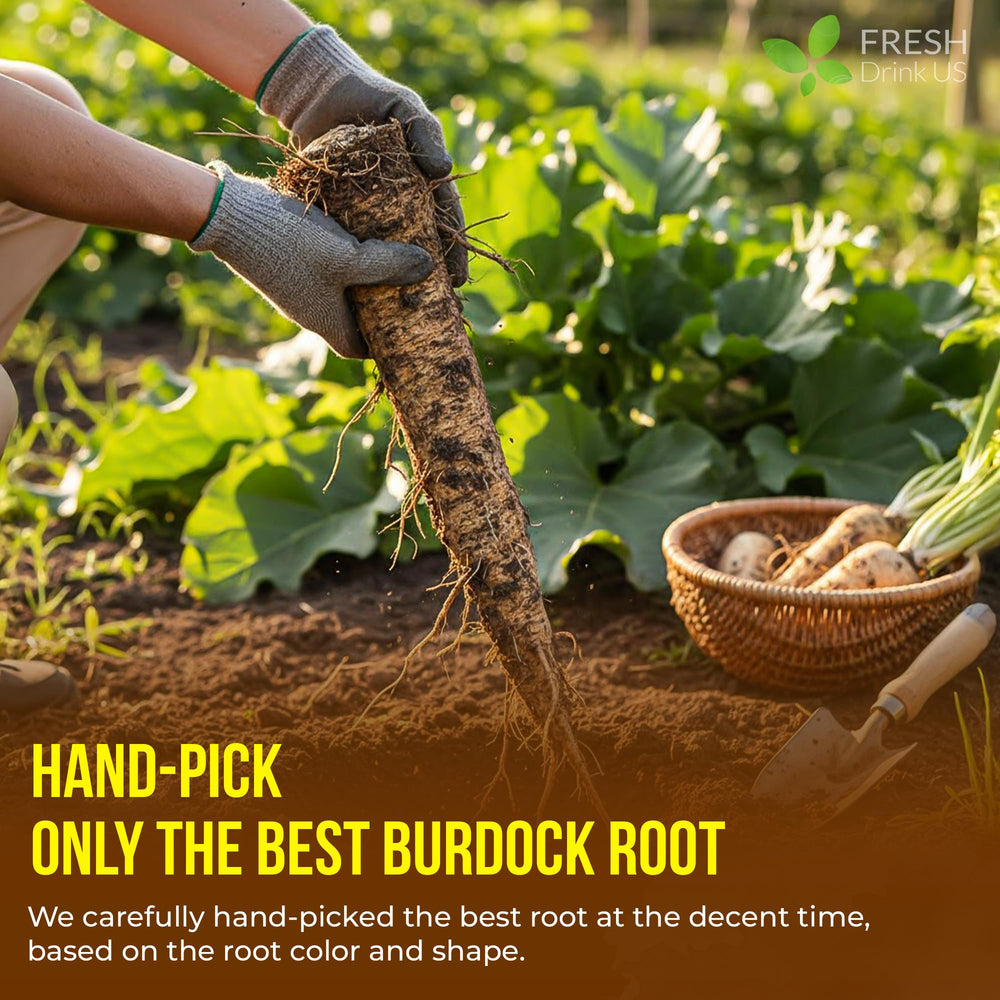 FRESHDRINKUS ingredient panel showing 100% burdock root and no additives