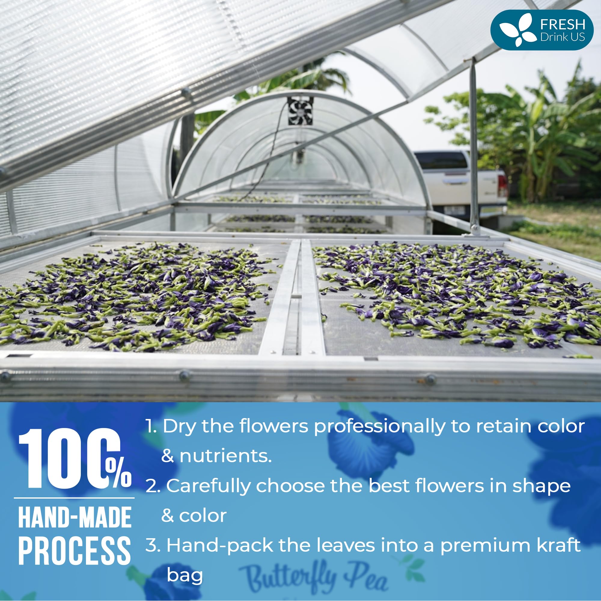 FRESHDRINKUS butterfly pea rice on plate showing natural food coloring
