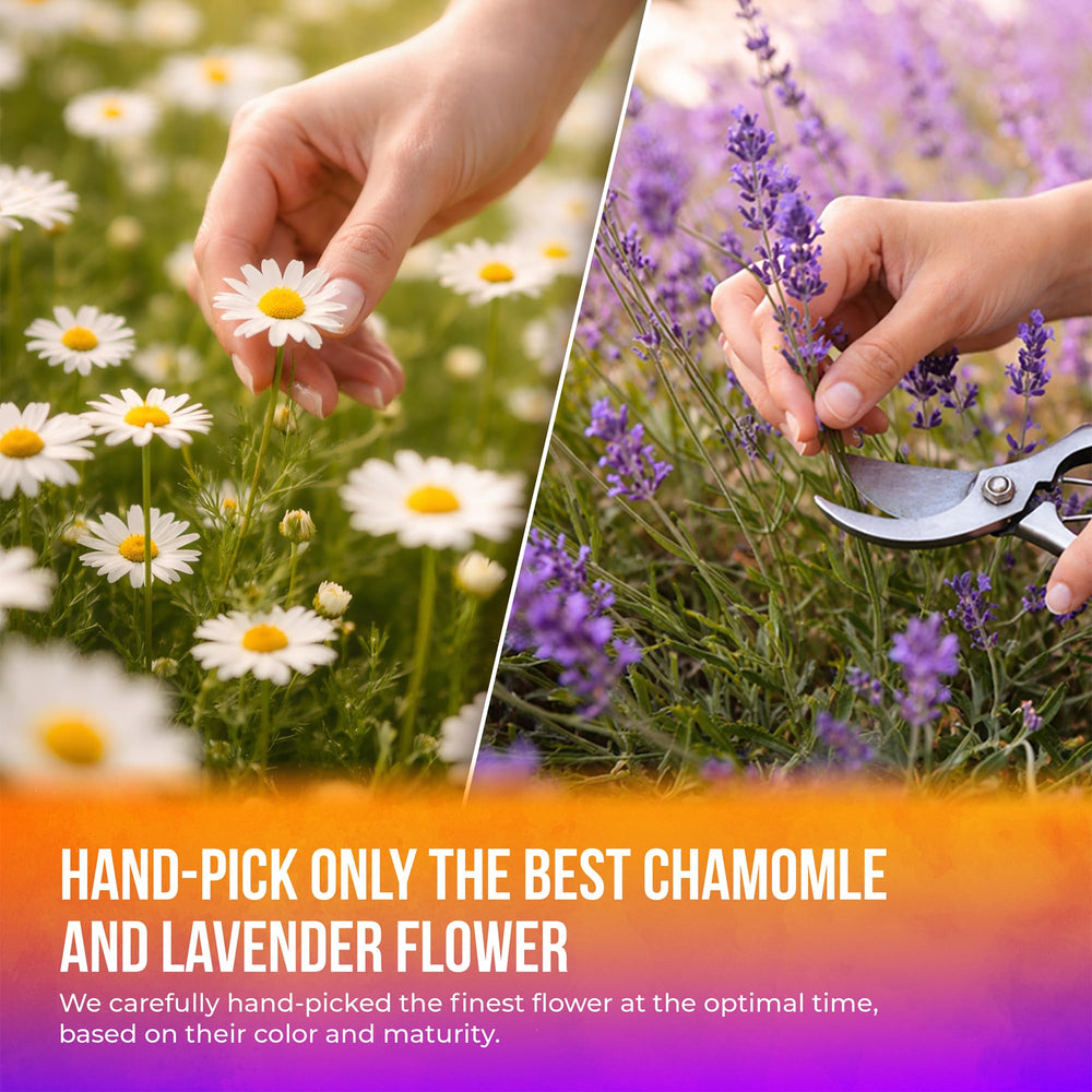 FreshDrinkUS dried chamomile and lavender blend detail showing pure ingredients benefit