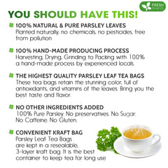 FRESHDRINKUS single tea bag closeup highlighting biodegradable material advantage