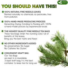 FRESHDRINKUS tea bag close-up highlighting biodegradable bag and easy brewing