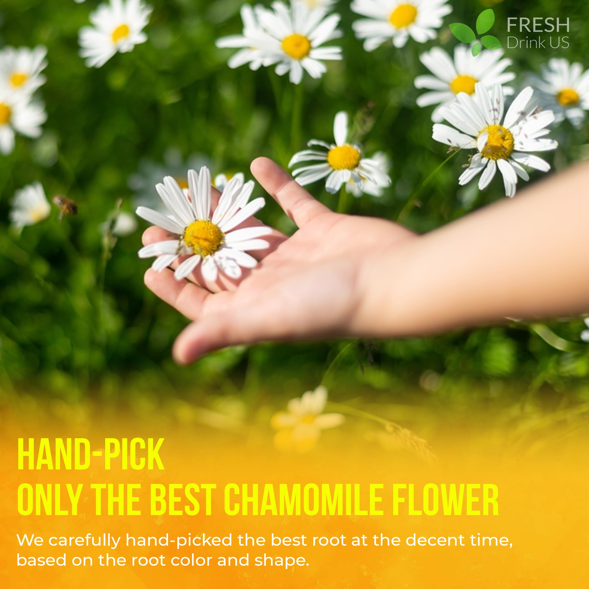 FRESHDRINKUS tea pouring into cup to demonstrate clear, natural infusion