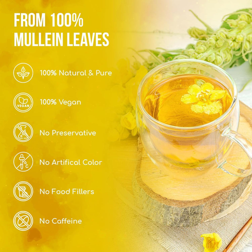 FRESHDRINKUS brewed mullein tea in cup highlighting convenient hot brewing