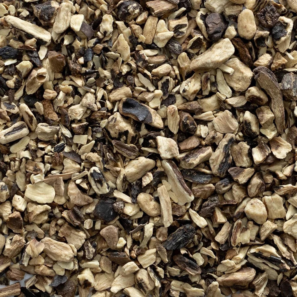 Frontier Co-op comfrey root steeping in jar of oil demonstrating infusion for topical use
