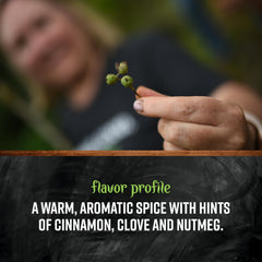 Mortar and pestle with Frontier Co‑op allspice being crushed for fresher, stronger flavor