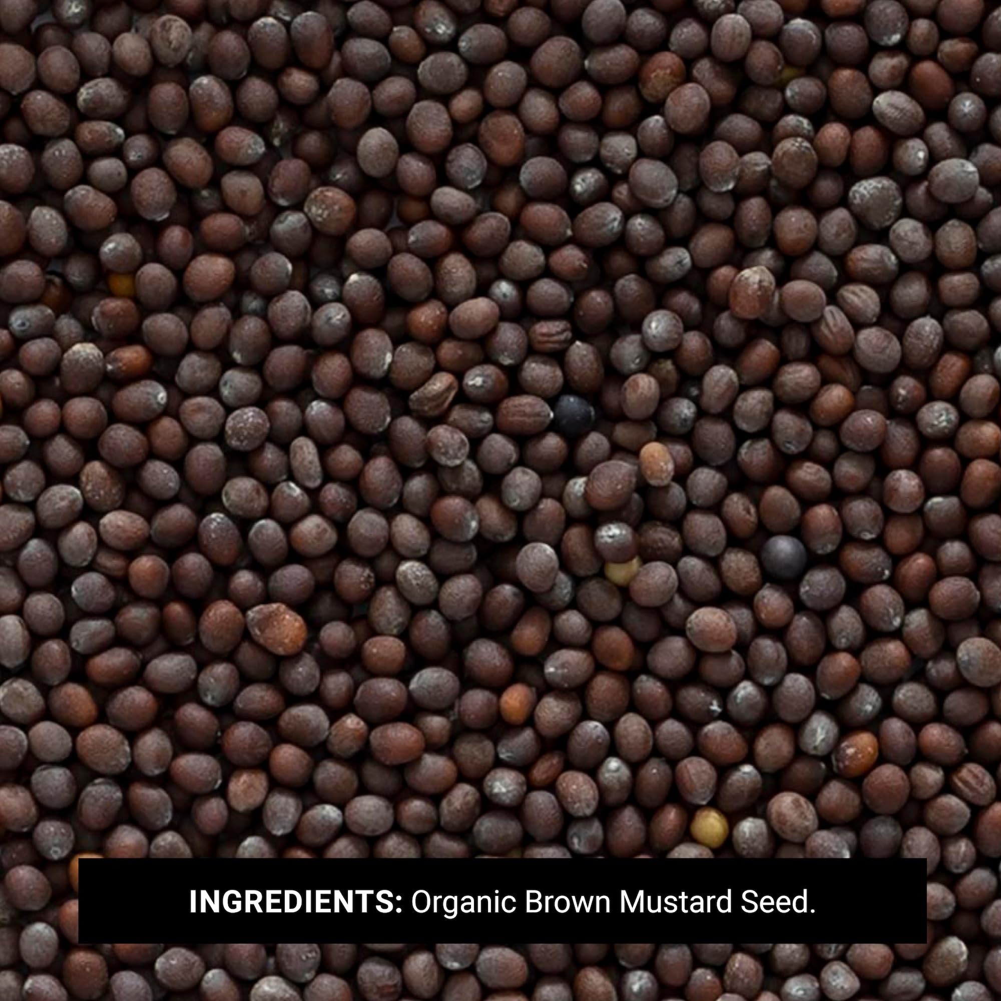 close-up of Frontier Co-op brown mustard seeds texture and color for fresher grinding benefit