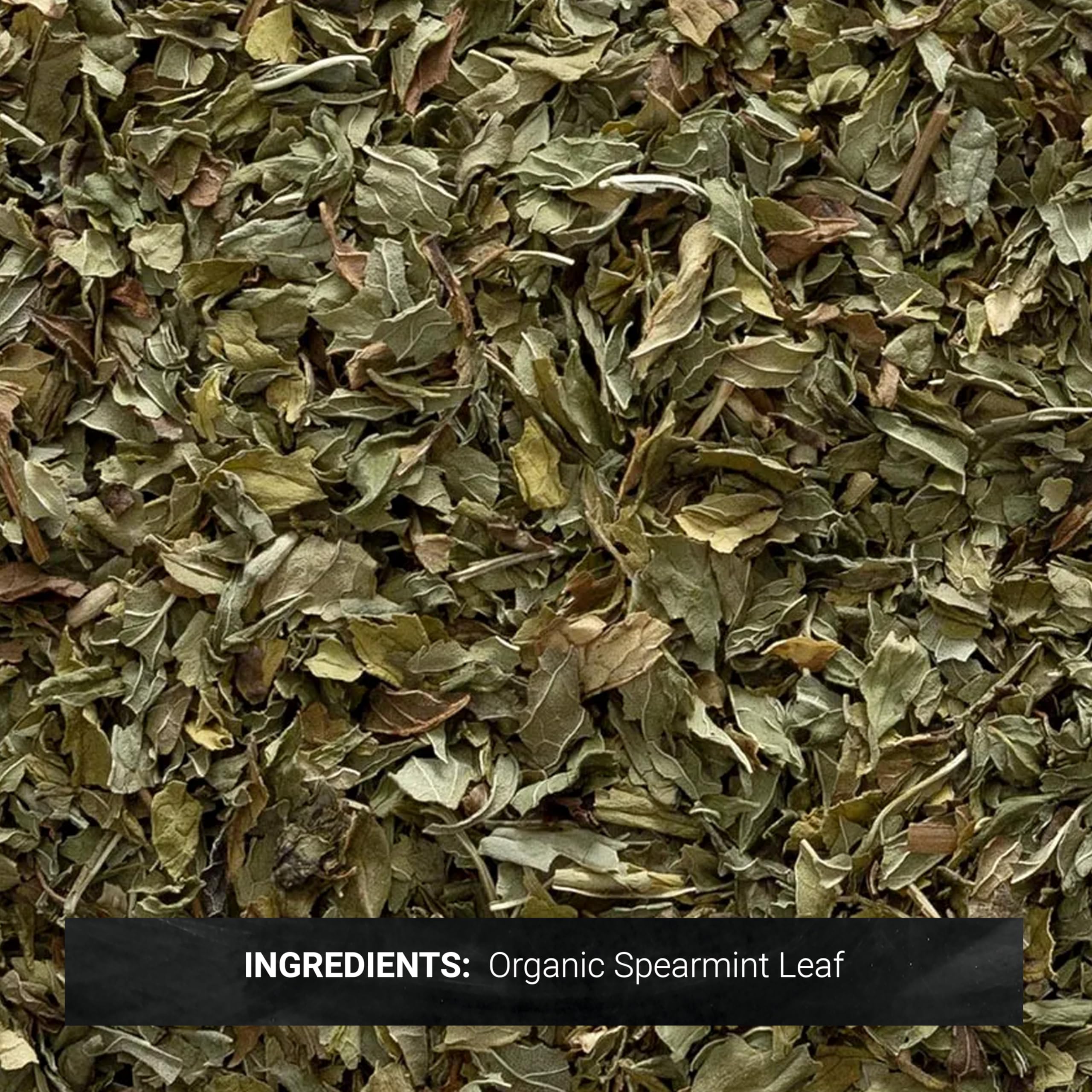 Close-up of Frontier Co-op spearmint leaves displaying texture and freshness