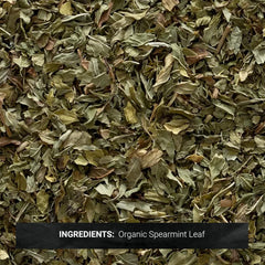 Close-up of Frontier Co-op spearmint leaves displaying texture and freshness