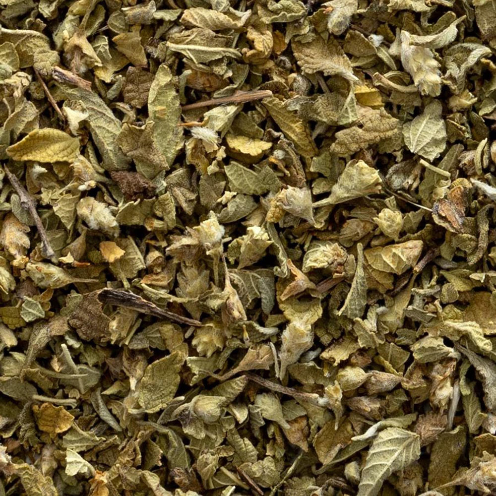 Frontier Co-op oregano scooped on spoon ready to measure for recipes