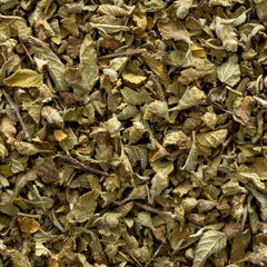 Frontier Co-op oregano scooped on spoon ready to measure for recipes