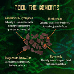 Full Power Cacao raw cacao chunks close-up highlighting texture and flavour