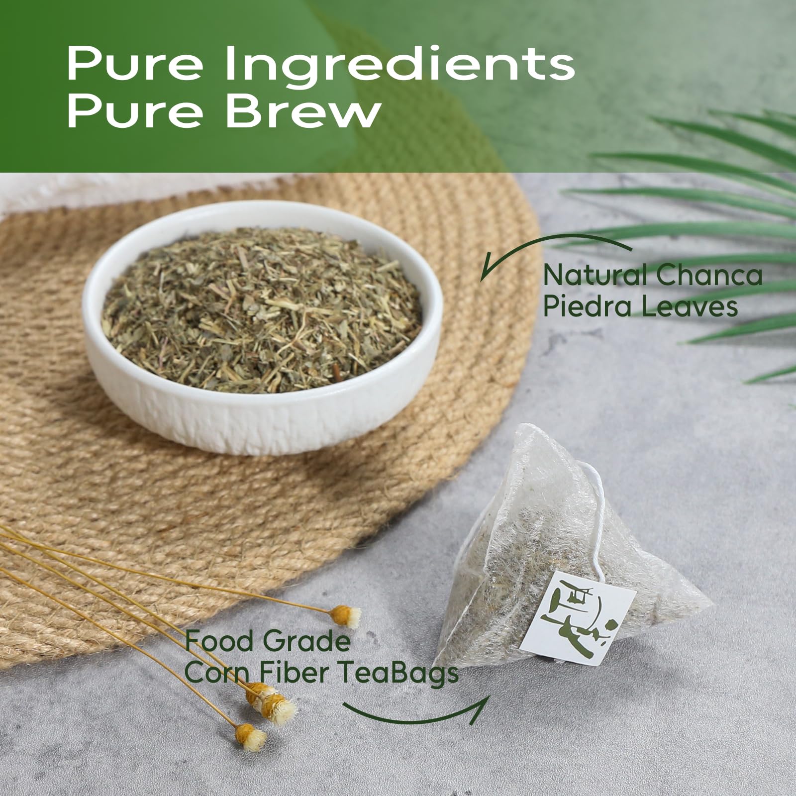 FullChea dried chanca piedra leaves top view showing texture and single-ingredient quality benefit
