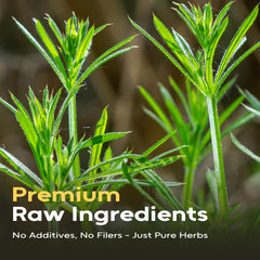 FullChea loose cleavers leaves in glass jar for freshness preservation