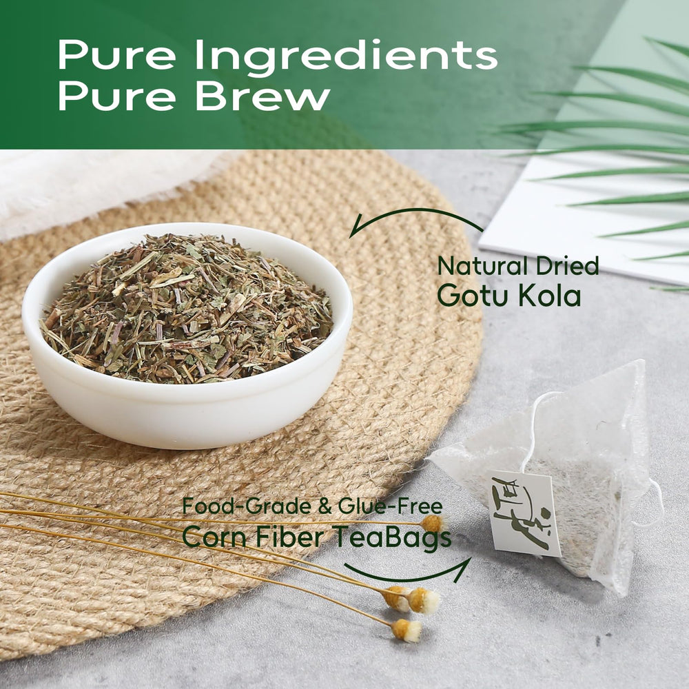 FullChea dried gotu kola leaves detail highlighting pure single-ingredient quality