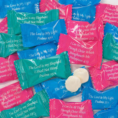 Fun Express front packaging showing 108 mints and bulk value