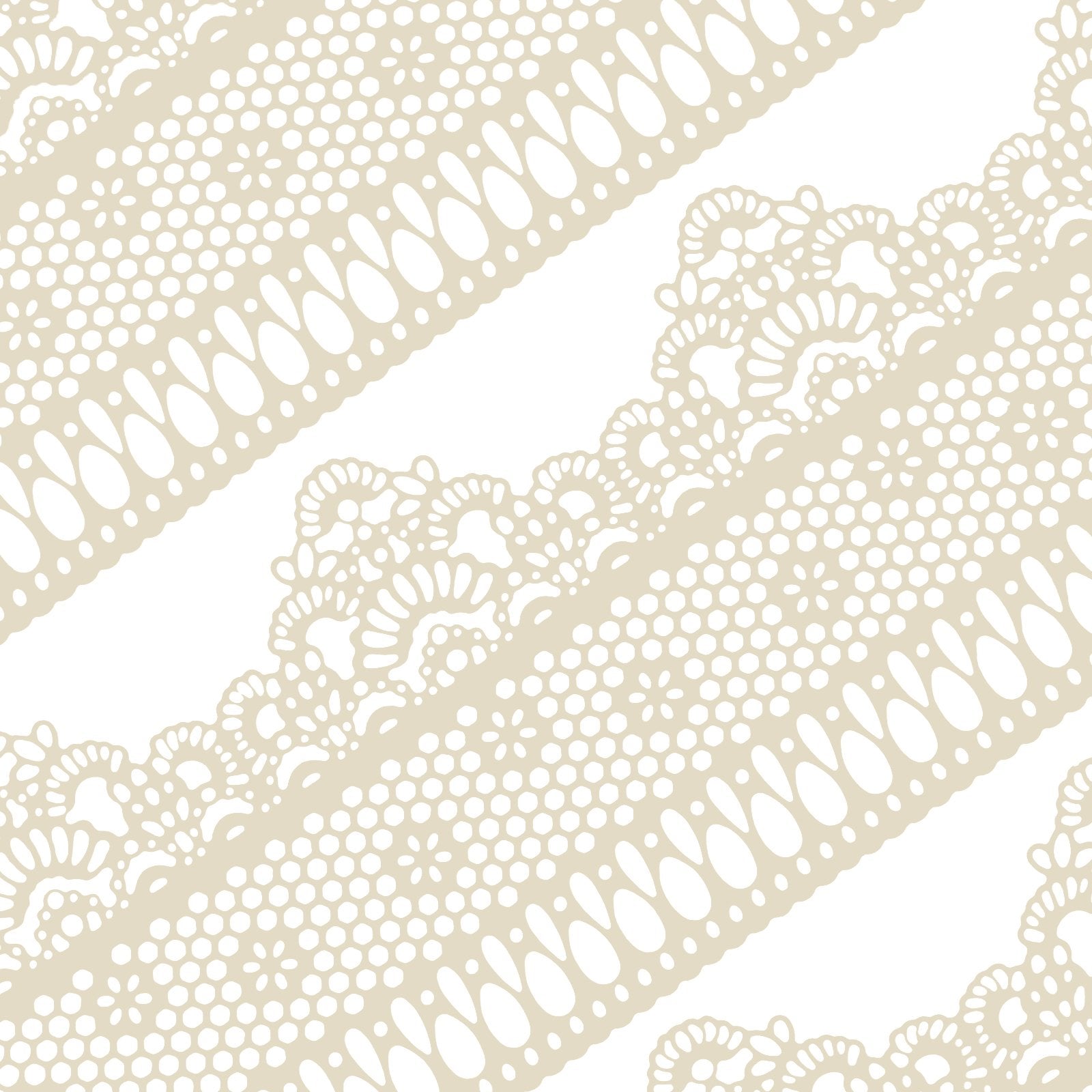 FUNSHOWCASE packaging showing ten ivory daisy lace strips and product benefits