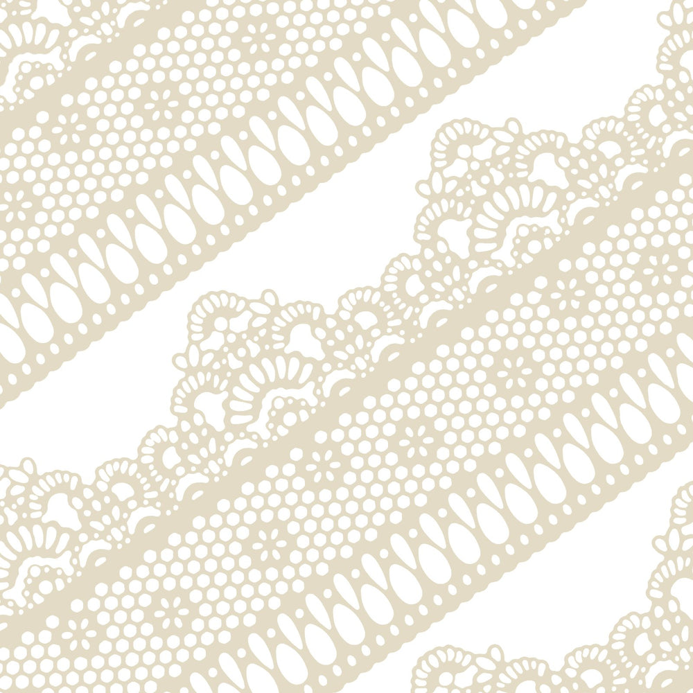 FUNSHOWCASE packaging showing ten ivory daisy lace strips and product benefits