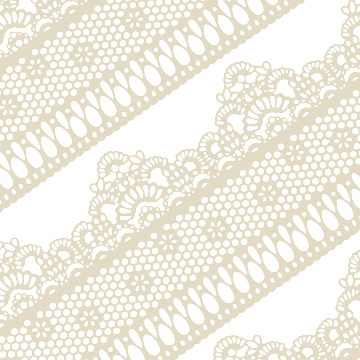 FUNSHOWCASE packaging showing ten ivory daisy lace strips and product benefits