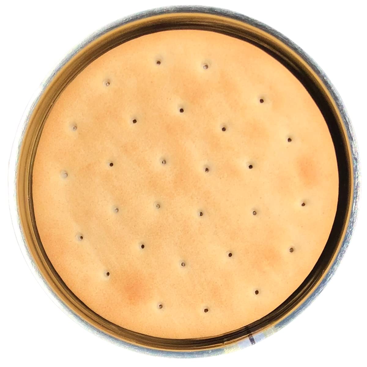 Future Essentials close-up of hardtack texture highlighting durability and long shelf life