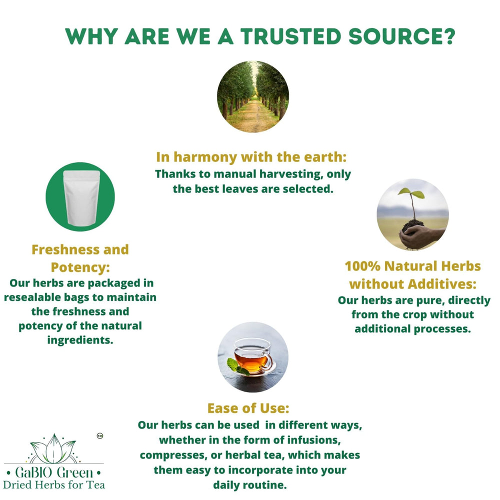 Gabio Green brewed tea in cup steaming, visualizing comforting daily infusion benefit