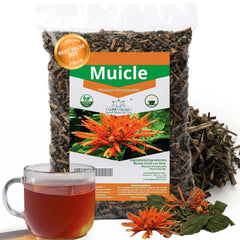Gabio Green front packaging of Muicle tea showing sealed bag and branding for freshness