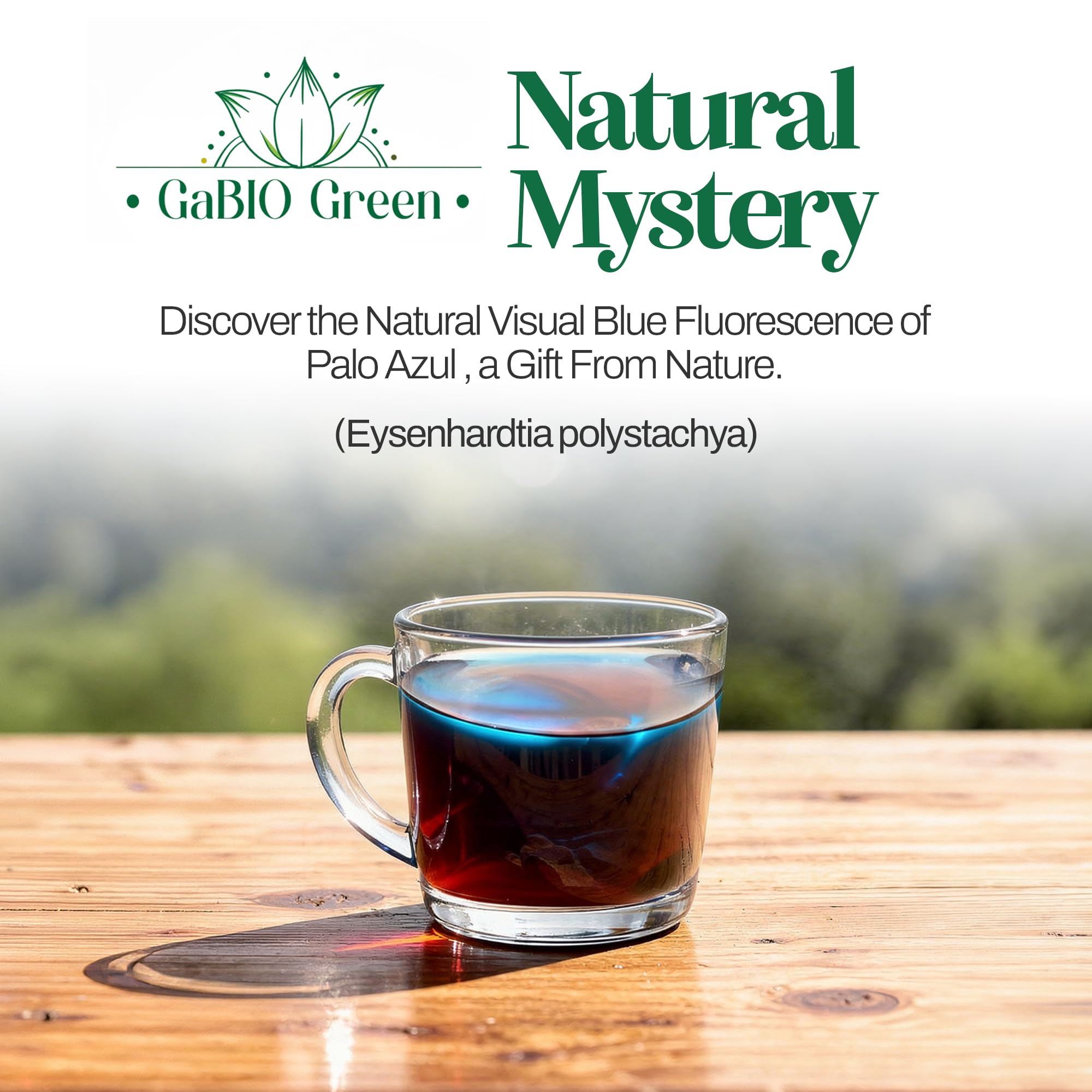 Gabio Green label closeup showing botanical name Eysenhardtia polystachya and origin info