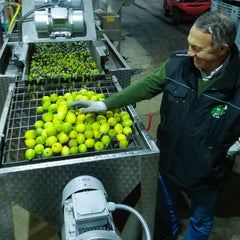 GALBASA being poured over a salad to add bright citrus flavor