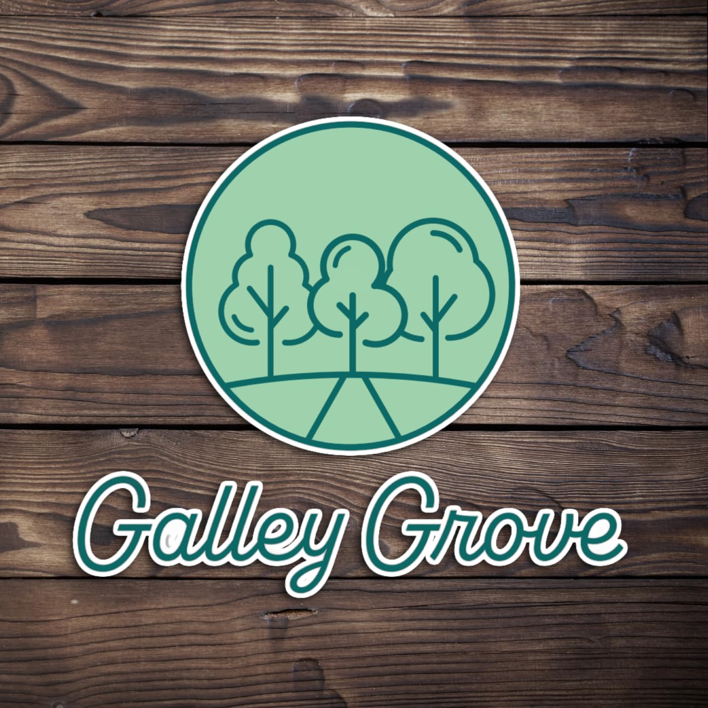 Galley Grove variety pack wrapped as a gift showing ideal party favor or present