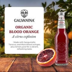 Galvanina bottle neck and label detail highlighting glass finish and artisanal quality