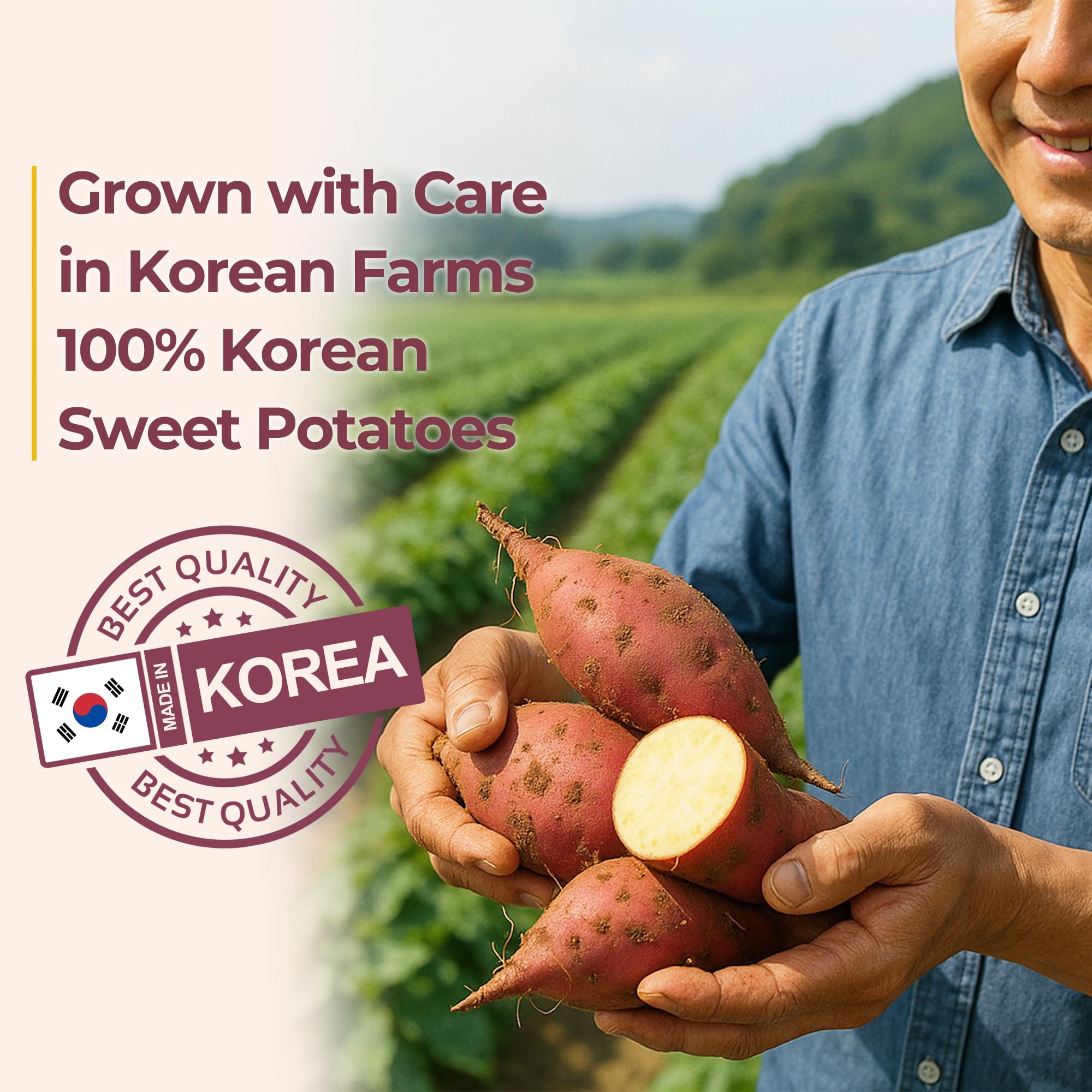 GE GANGWON EXPORT detailed chewable texture of sweet potato sticks, soft and tender