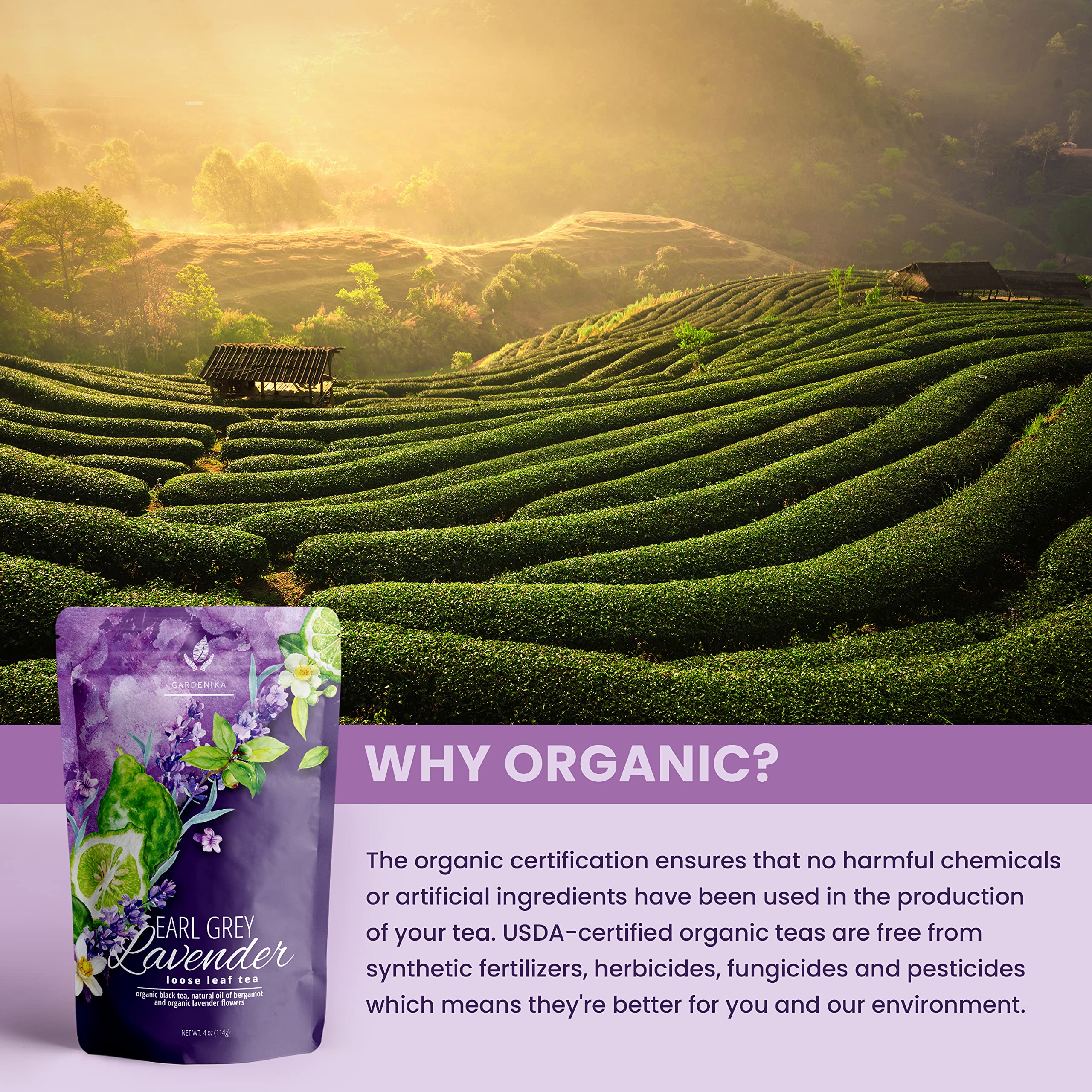 Gardenika ingredient label focus showing organic certification and clean ingredients