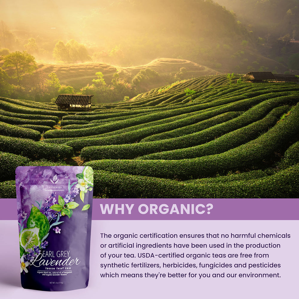 Gardenika ingredient label focus showing organic certification and clean ingredients