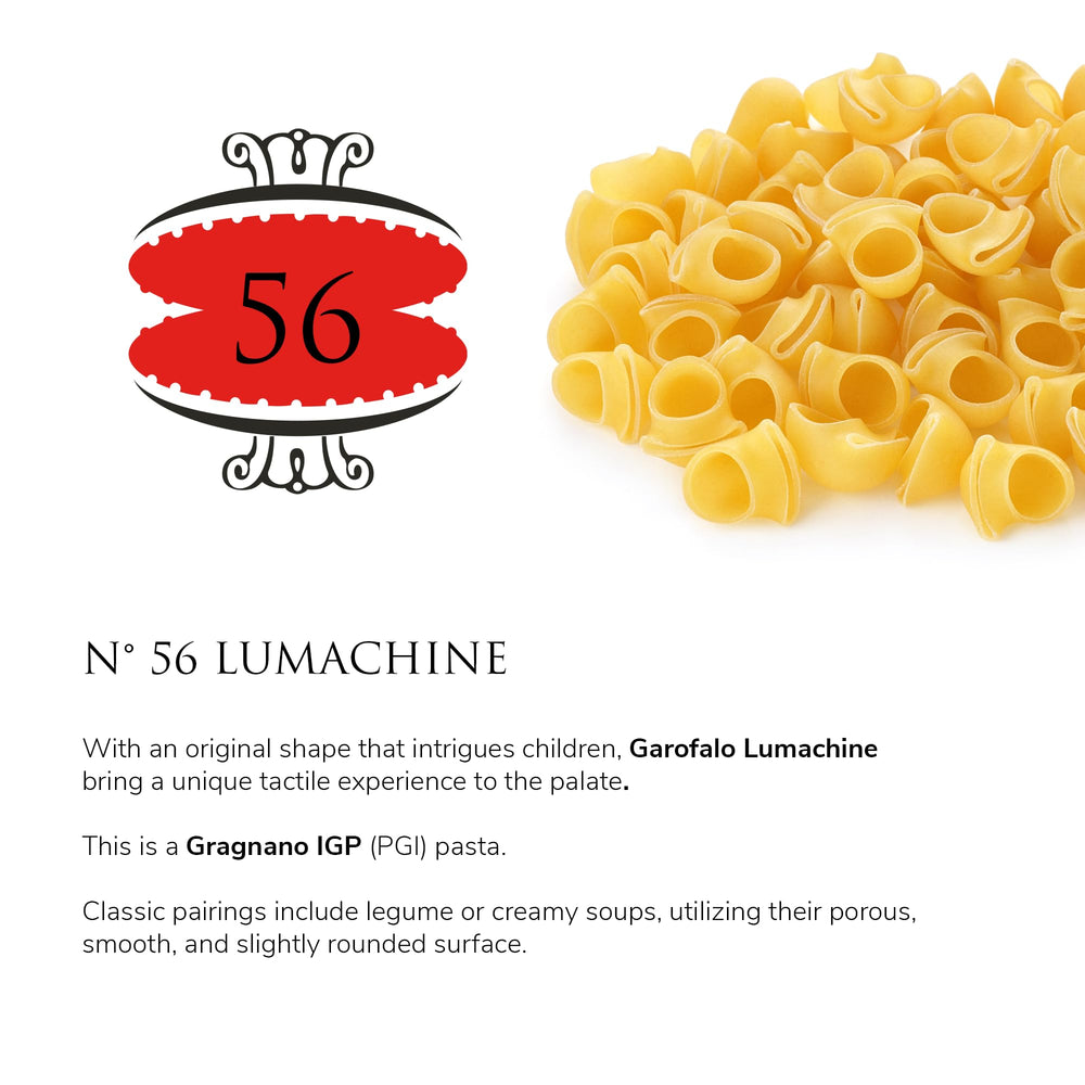 Cooked Garofalo Lumachine on white plate with sauce, demonstrates perfect al dente bite
