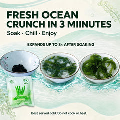 GCAP rehydrated sea grapes in a bowl, vibrant green that boosts plate appeal