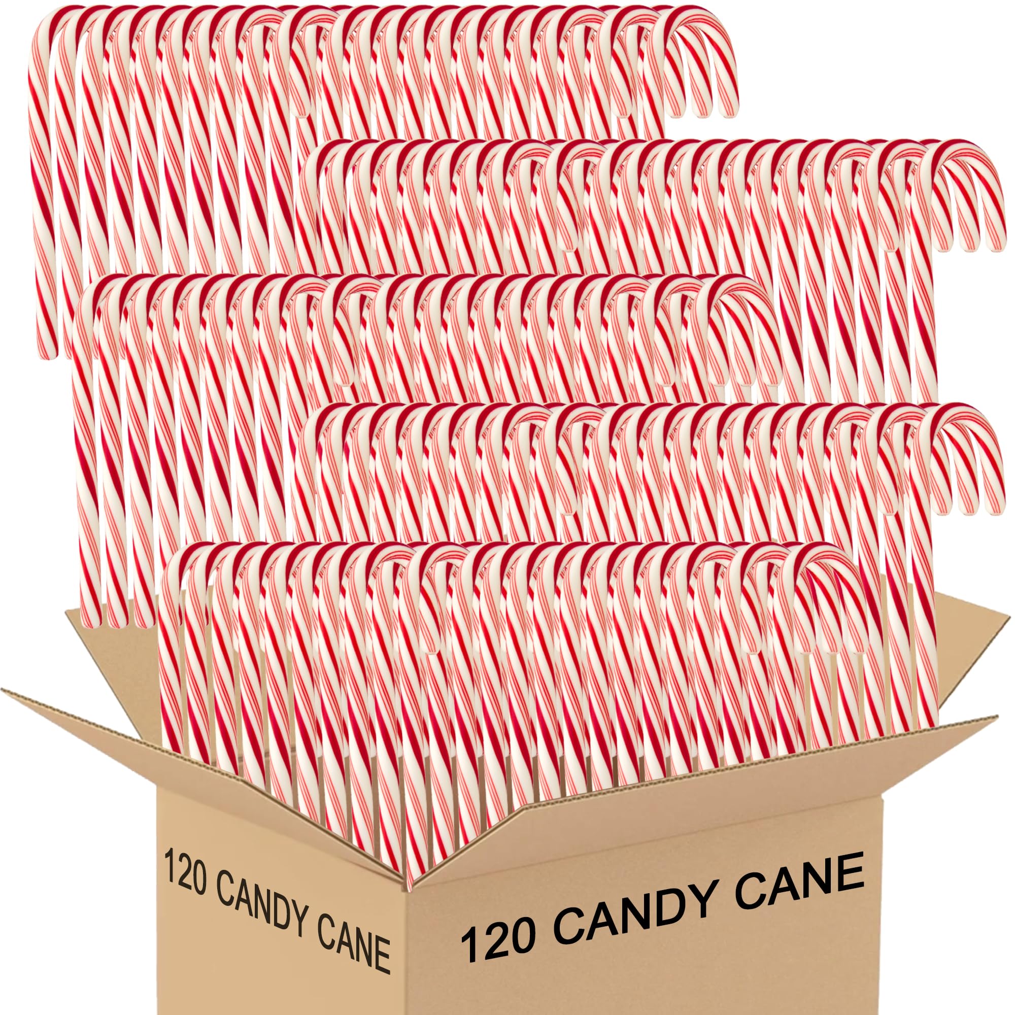 Generic brand candy cane front packaging showing individually wrapped peppermint canes for gifting