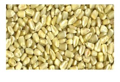 Generic brand mahindi dry corn in a wooden bowl in kitchen setting ready for cooking