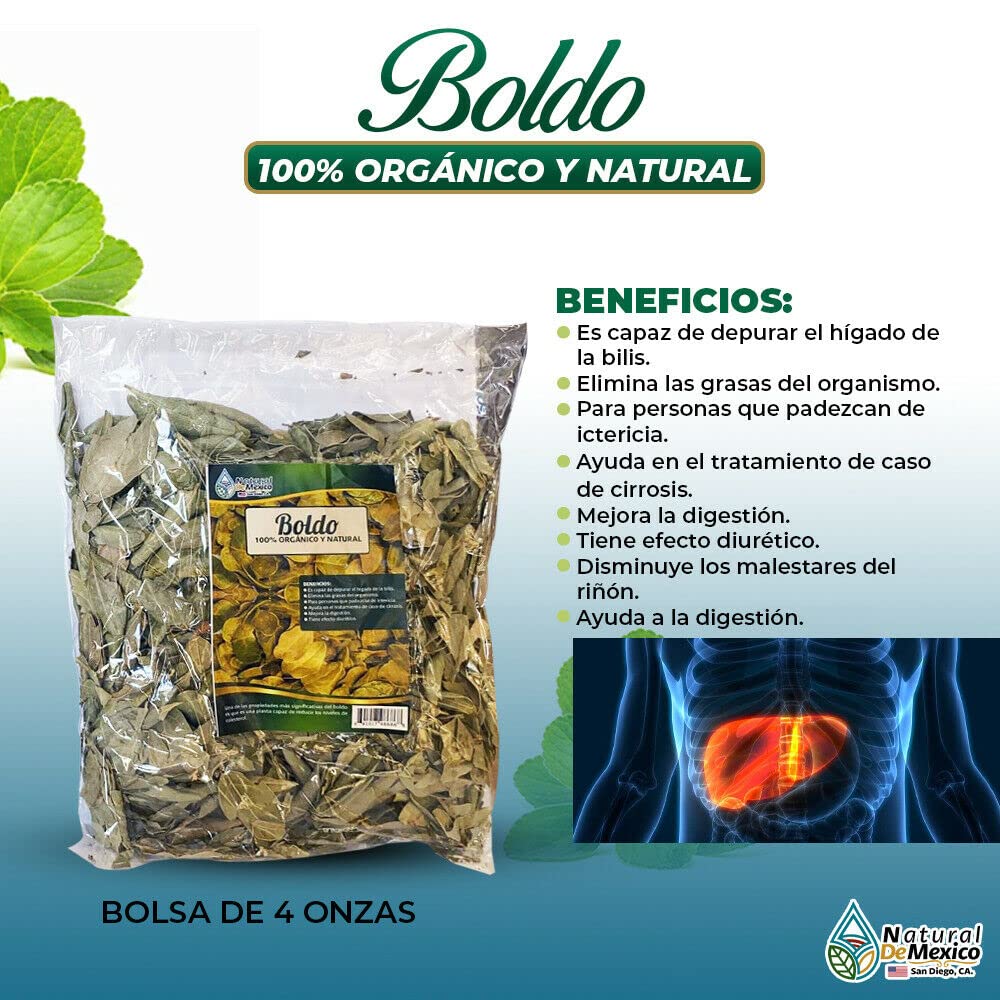 Generic close-up of cut boldus leaves displaying texture and freshness for flavorful brewing