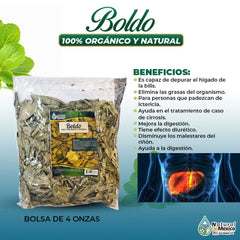 Generic close-up of cut boldus leaves displaying texture and freshness for flavorful brewing