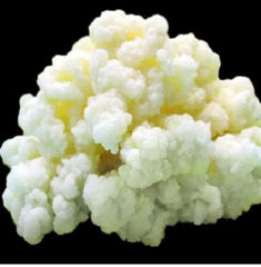 Generic milk kefir grains front packaging showing starter culture and directions benefit: easy identification