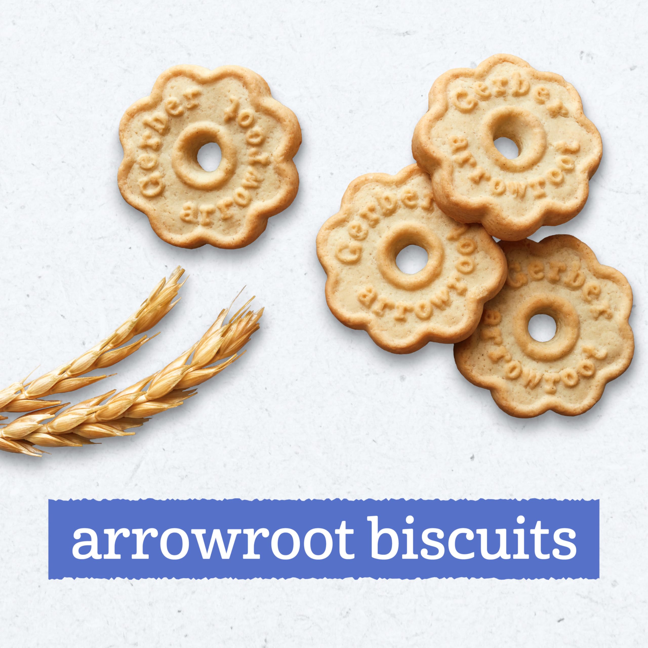 Gerber biscuit close-up illustrating soft dissolvable texture and mild taste