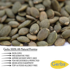 GERBS close-up texture of pumpkin kernels highlighting fresh clean ingredient benefit
