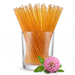 GloryBee front packaging showing 100 honey sticks and convenience
