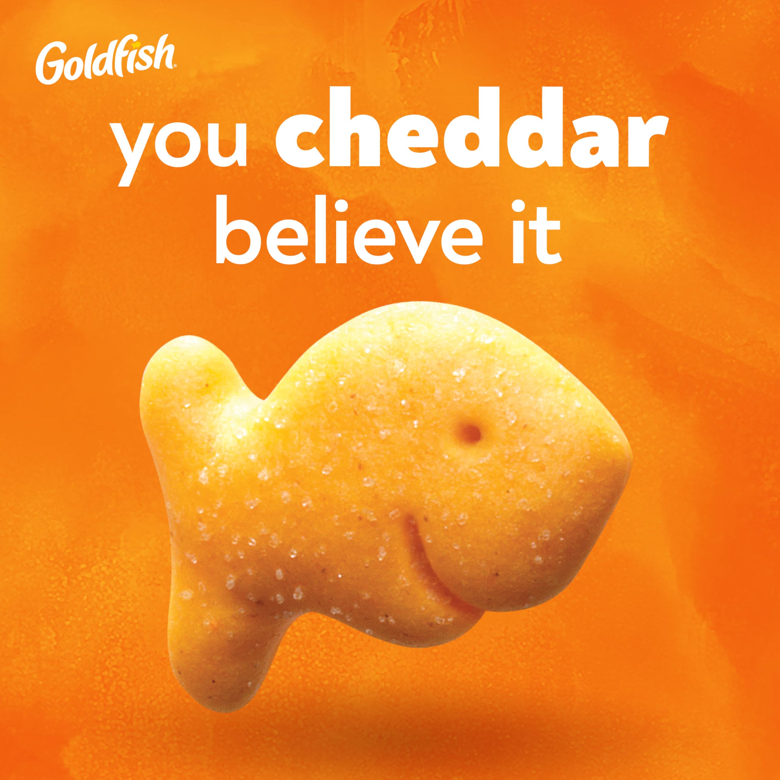 Goldfish pouch inside a lunchbox for convenient midday snacking benefit