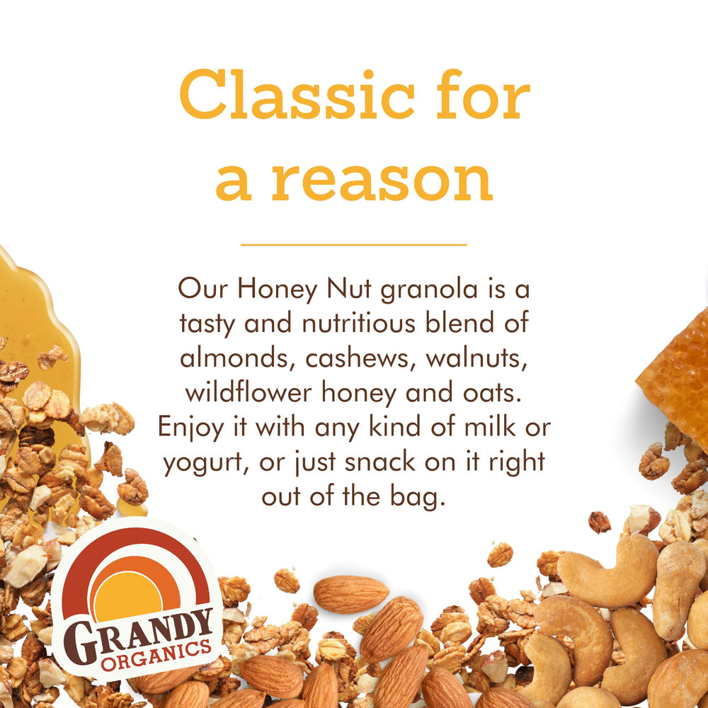 GrandyOats ingredients display of almonds cashews walnuts for nutrients