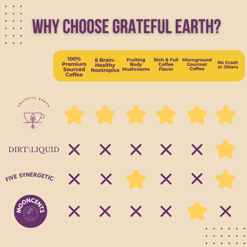 Grateful Earth sticks inside a travel bag showing portability benefit